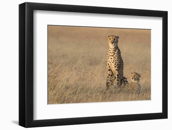 In the Morning Glow-Renee Doyle-Framed Photographic Print