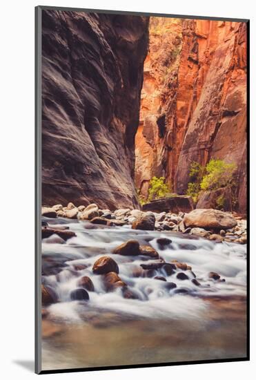 In The Narrows Autumn Southern Utah Ziona National Park-Vincent James-Mounted Photographic Print