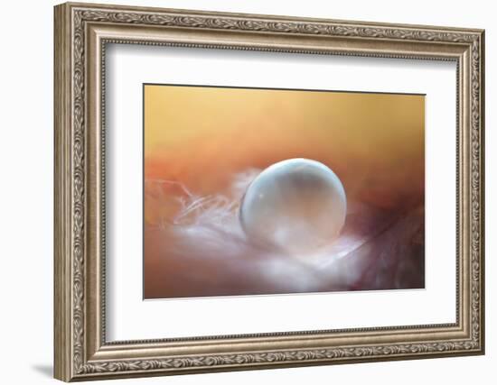 In the Nest-Heidi Westum-Framed Photographic Print