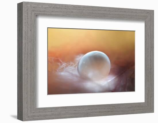 In the Nest-Heidi Westum-Framed Photographic Print