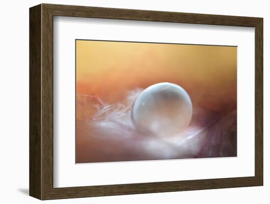 In the Nest-Heidi Westum-Framed Photographic Print