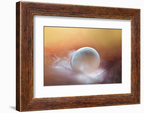 In the Nest-Heidi Westum-Framed Photographic Print