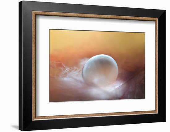 In the Nest-Heidi Westum-Framed Photographic Print