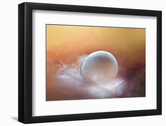 In the Nest-Heidi Westum-Framed Photographic Print