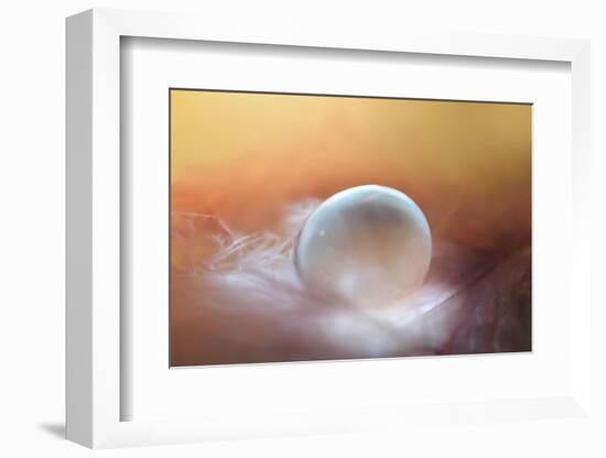 In the Nest-Heidi Westum-Framed Photographic Print