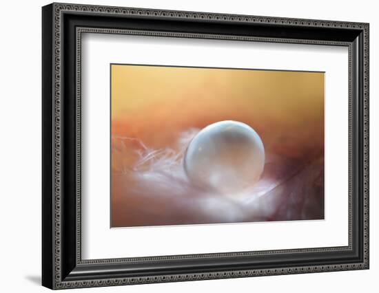 In the Nest-Heidi Westum-Framed Photographic Print