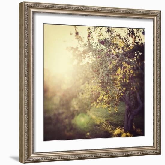 In the Orchard-Irene Suchocki-Framed Giclee Print