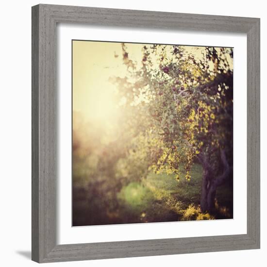 In the Orchard-Irene Suchocki-Framed Giclee Print