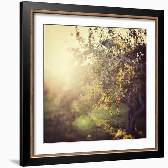 In the Orchard-Irene Suchocki-Framed Giclee Print