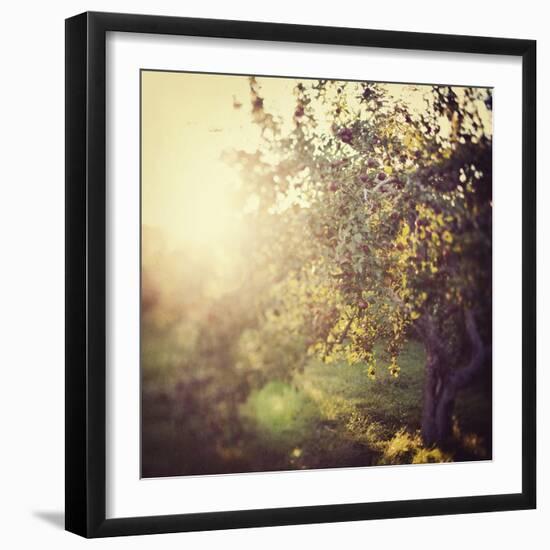 In the Orchard-Irene Suchocki-Framed Giclee Print
