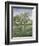 In the Orchard-Lucien Frank-Framed Giclee Print