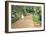 In the Park - a Byway-William Merritt Chase-Framed Art Print