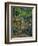 In the Park at Chateau Noir, 1898-1900-Paul Cézanne-Framed Giclee Print