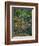 In the Park at Chateau Noir, 1898-1900-Paul Cézanne-Framed Giclee Print