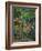 In the Park at Chateau Noir, 1898-1900-Paul Cézanne-Framed Giclee Print