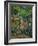 In the Park at Chateau Noir, 1898-1900-Paul Cézanne-Framed Giclee Print