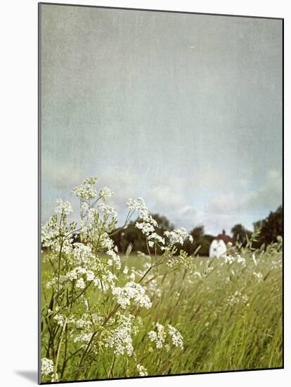 In the Pasture-Sarah Gardner-Mounted Photo