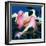 In the Pink-Jerzy Marek-Framed Giclee Print