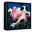 In the Pink-Jerzy Marek-Framed Premier Image Canvas