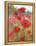 In the Poppy Field-Karen Margulis-Framed Stretched Canvas