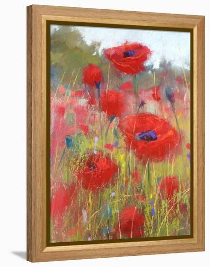 In the Poppy Field-Karen Margulis-Framed Stretched Canvas