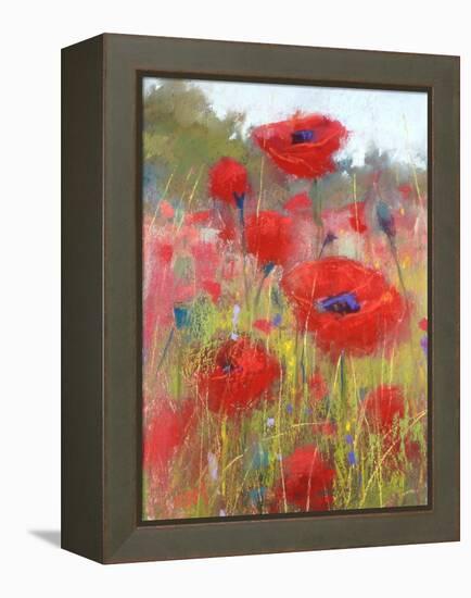 In the Poppy Field-Karen Margulis-Framed Stretched Canvas