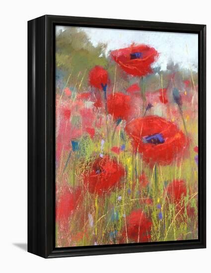 In the Poppy Field-Karen Margulis-Framed Stretched Canvas