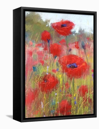 In the Poppy Field-Karen Margulis-Framed Stretched Canvas