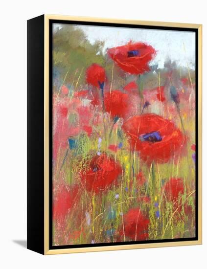 In the Poppy Field-Karen Margulis-Framed Stretched Canvas