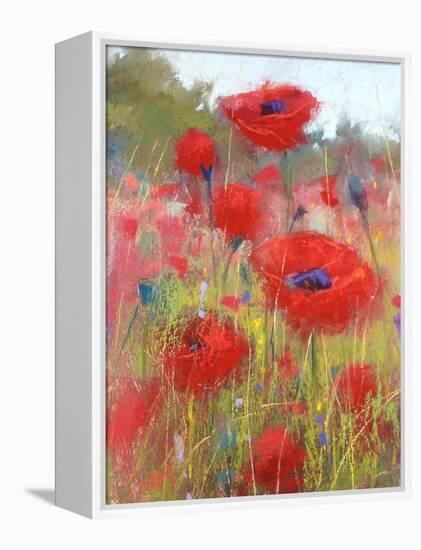 In the Poppy Field-Karen Margulis-Framed Stretched Canvas