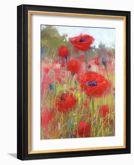 In the Poppy Field-Karen Margulis-Framed Art Print