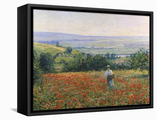 In the Poppy Field-Leon Giran-max-Framed Premier Image Canvas