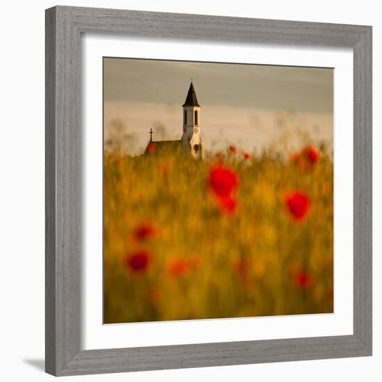 In the poppy fields-Robert Adamec-Framed Photographic Print