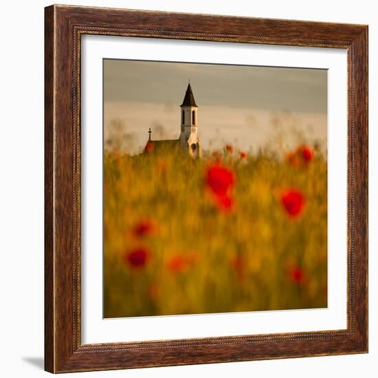 In the poppy fields-Robert Adamec-Framed Photographic Print