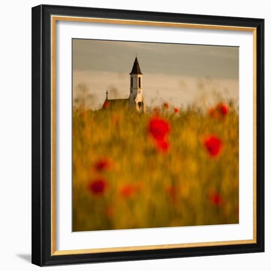 In the poppy fields-Robert Adamec-Framed Photographic Print