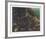 In the Rockies-Bill Elliot-Framed Collectable Print