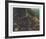 In the Rockies-Bill Elliot-Framed Collectable Print