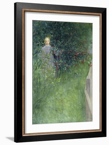 In the Rose Hip Hedge-Carl Larsson-Framed Giclee Print