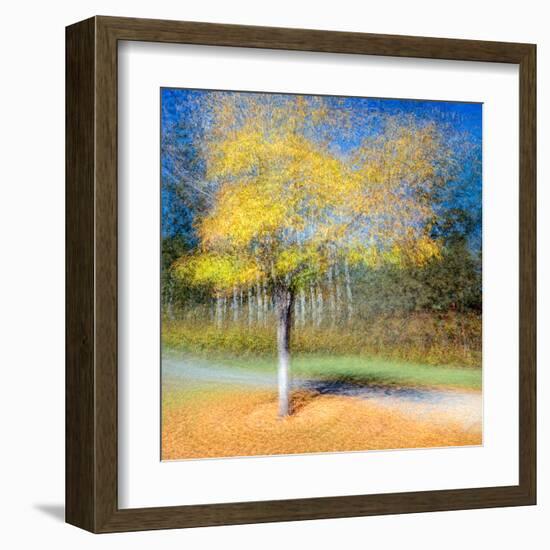 In the Round-Ursula Abresch-Framed Premium Photographic Print