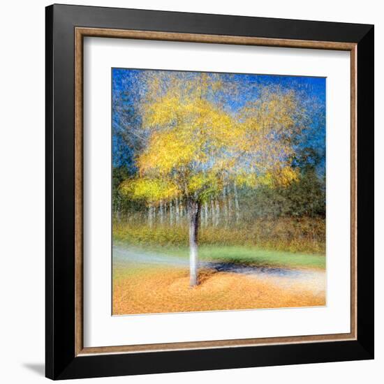 In the Round-Ursula Abresch-Framed Premium Photographic Print