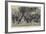In the Row, Hyde Park-Richard Caton Woodville II-Framed Giclee Print