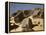 In the Sahara, Egypt-English Photographer-Framed Premier Image Canvas