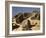 In the Sahara, Egypt-English Photographer-Framed Giclee Print