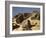 In the Sahara, Egypt-English Photographer-Framed Giclee Print