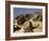 In the Sahara, Egypt-English Photographer-Framed Giclee Print