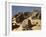 In the Sahara, Egypt-English Photographer-Framed Giclee Print