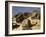 In the Sahara, Egypt-English Photographer-Framed Giclee Print