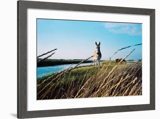 In the Saltworks, Noirmoutier island, Vendee, Pays de la Loire, France-null-Framed Premium Giclee Print