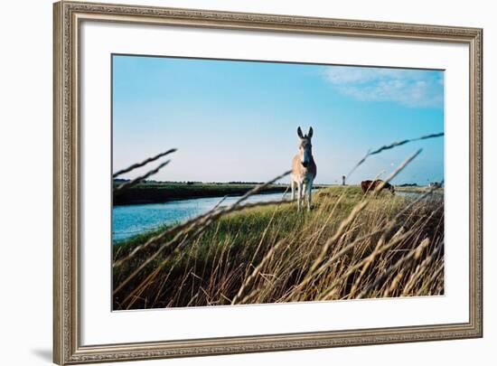 In the Saltworks, Noirmoutier island, Vendee, Pays de la Loire, France-null-Framed Premium Giclee Print