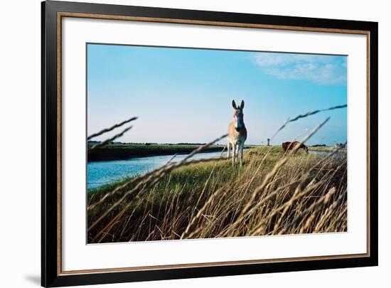 In the Saltworks, Noirmoutier island, Vendee, Pays de la Loire, France-null-Framed Premium Giclee Print